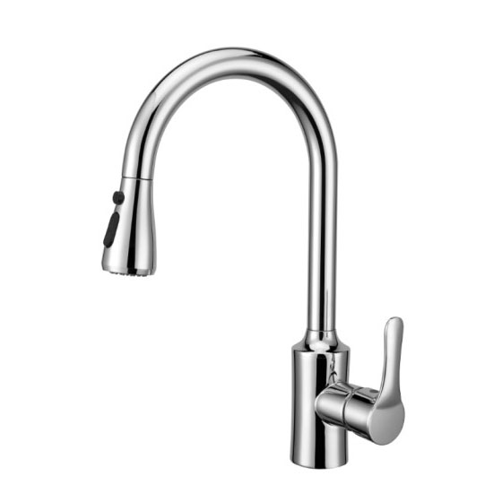 Dual Control Kitchen kran